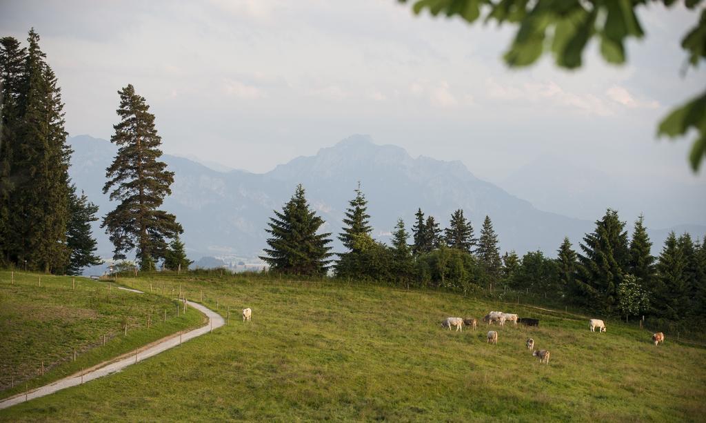 Panoramagasthof Auf Dem Auerberg Bernbeuren エクステリア 写真
