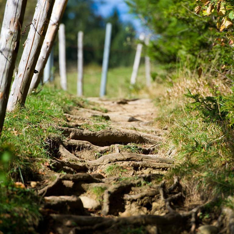 Panoramagasthof Auf Dem Auerberg Bernbeuren エクステリア 写真